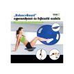 „BalanceBoard” Egyensúlyozó és fejlesztő eszköz